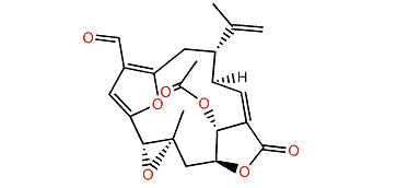 Keikipukalide C